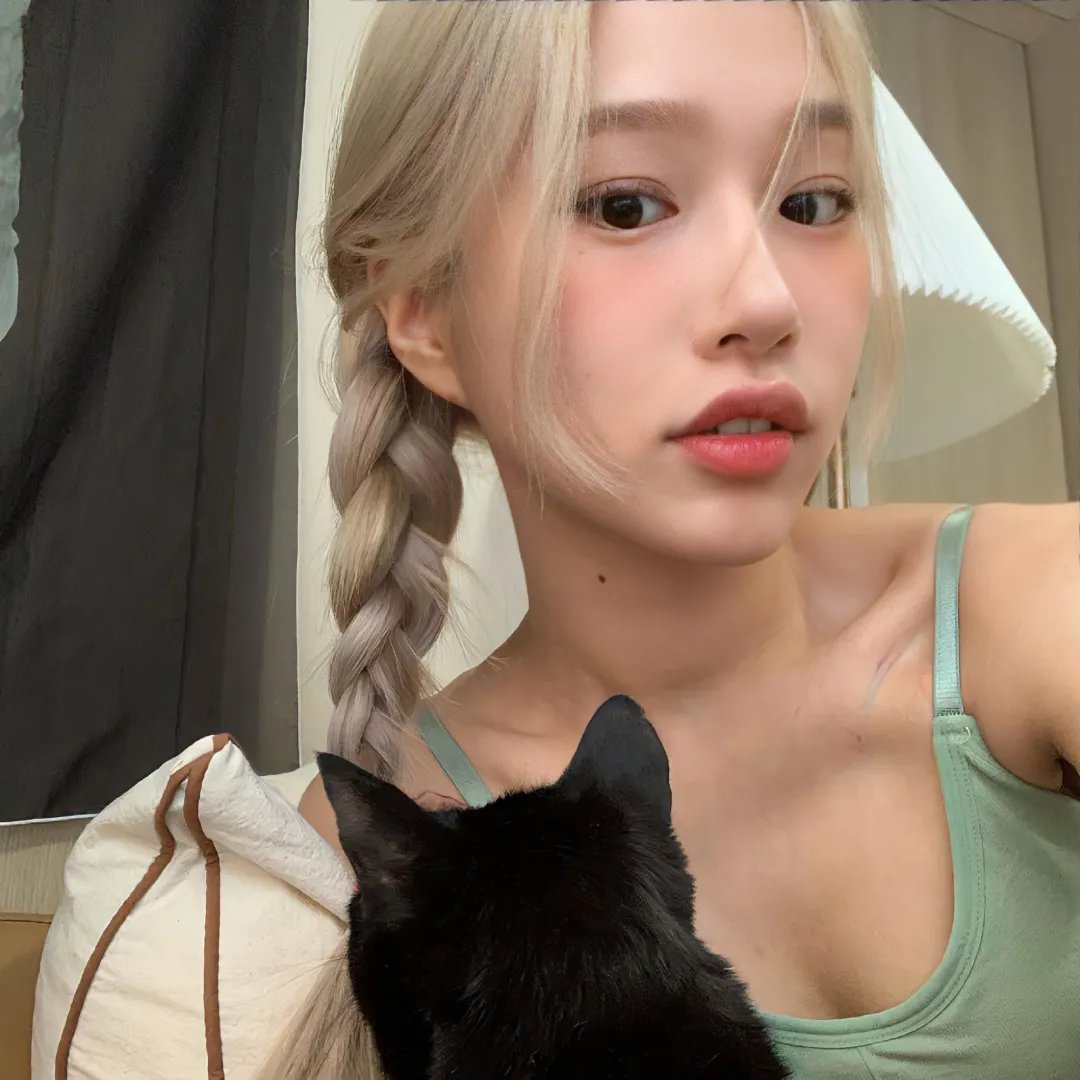 好莱坞狗日子海报
